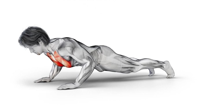 肌肉男角色训练胸部-体重-俯卧撑锻炼- 3d渲染