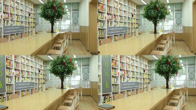 4K图书馆空镜实拍视频