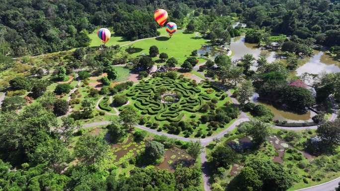 云南西双版纳热带雨林植物园迷宫