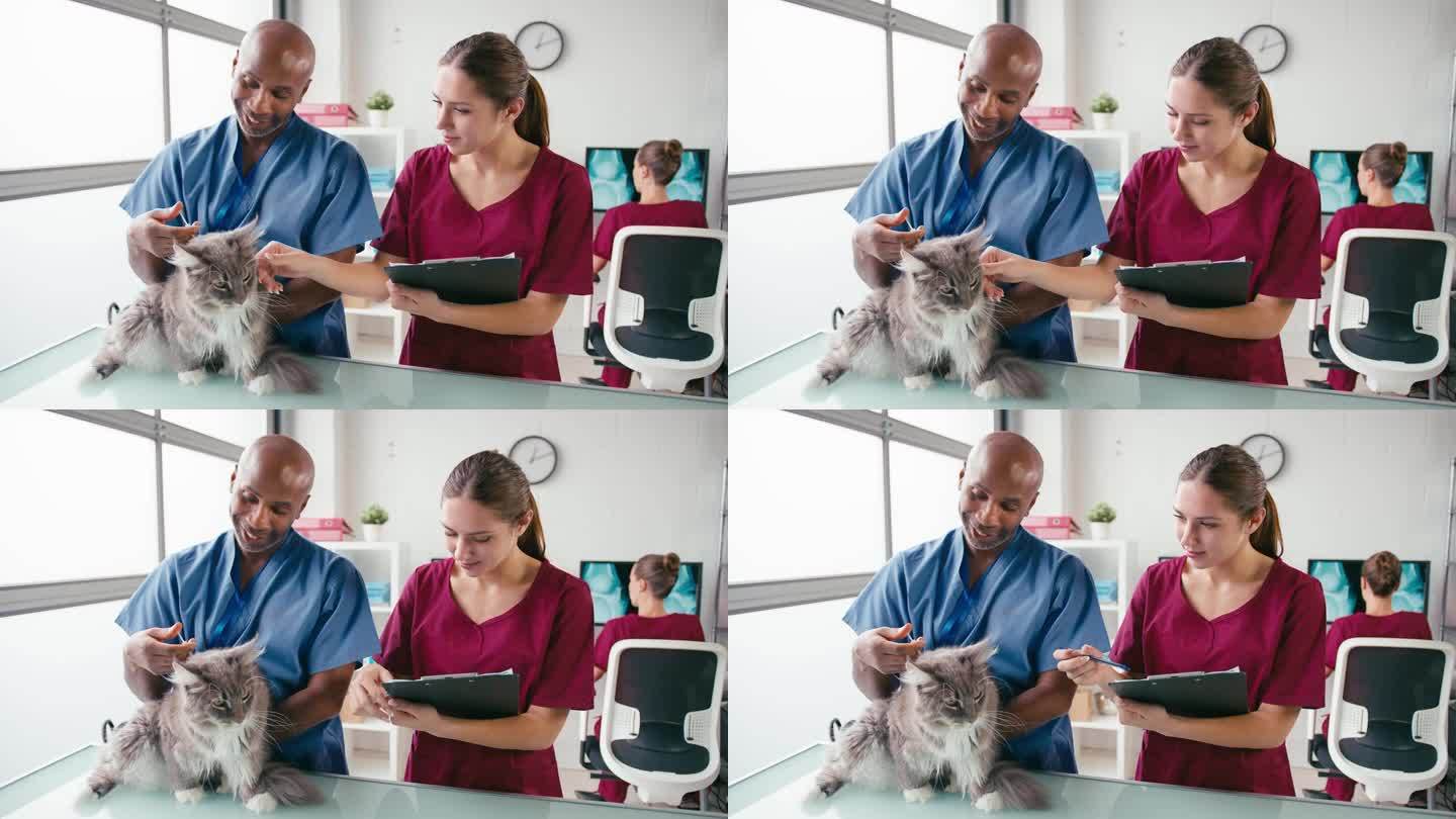 男兽医和女实习兽医护士在给宠物猫注射手术