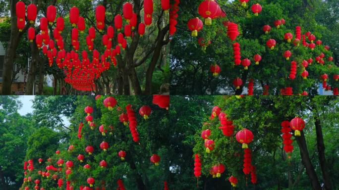 过年春节树挂满灯笼