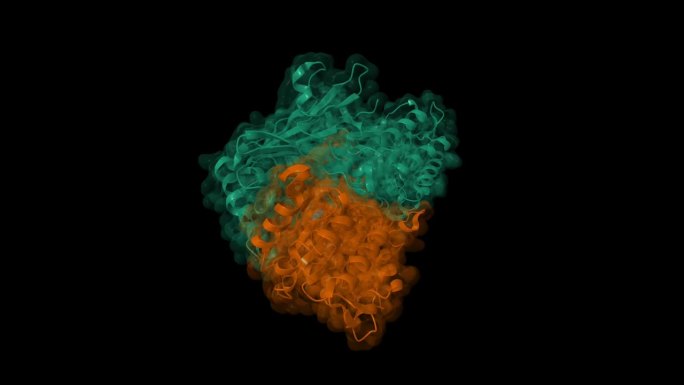 人烟酰胺磷酸核糖基转移酶(NMPRTase)与烟酰胺(蓝色)络合的晶体结构