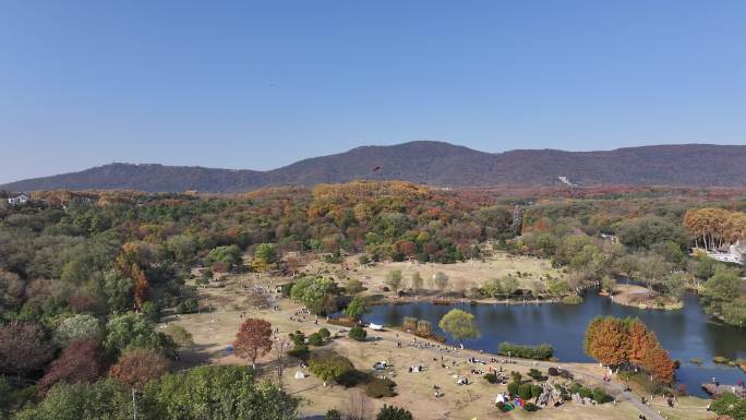 南京钟山风景区秋景航拍