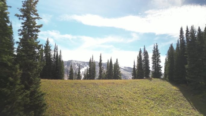 航拍图显示了科罗拉多州克莱斯特比特的麋鹿山脉羊山长满草的山坡上的宝山