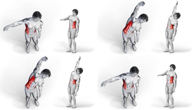 三维插图的肌肉特征做锻炼侧面腹肌肌肉孤立的背景