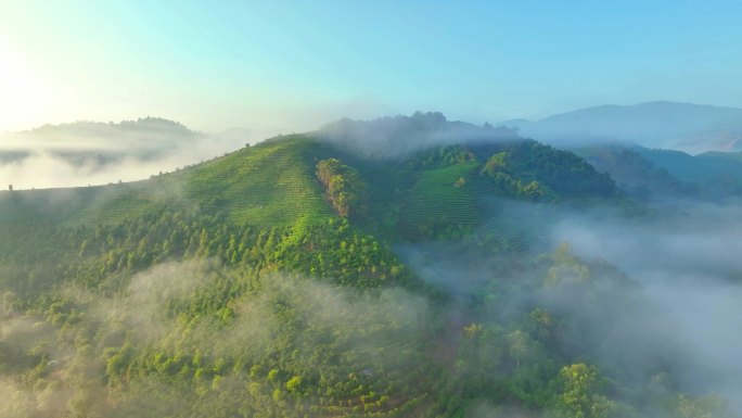 普洱茶山日出云海航拍