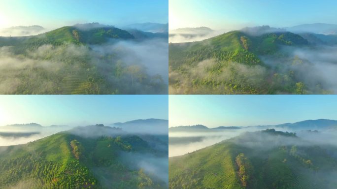 普洱茶山日出云海航拍