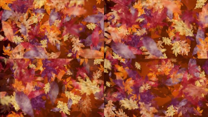 手绘黄红秋叶飞舞的动画。循环季节性假期背景。