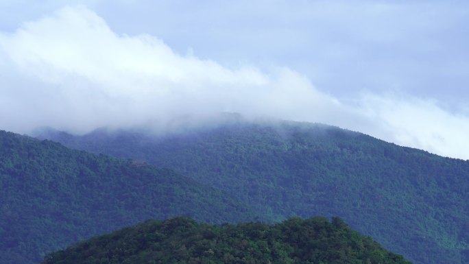 热带雨林山脉云雾缭绕