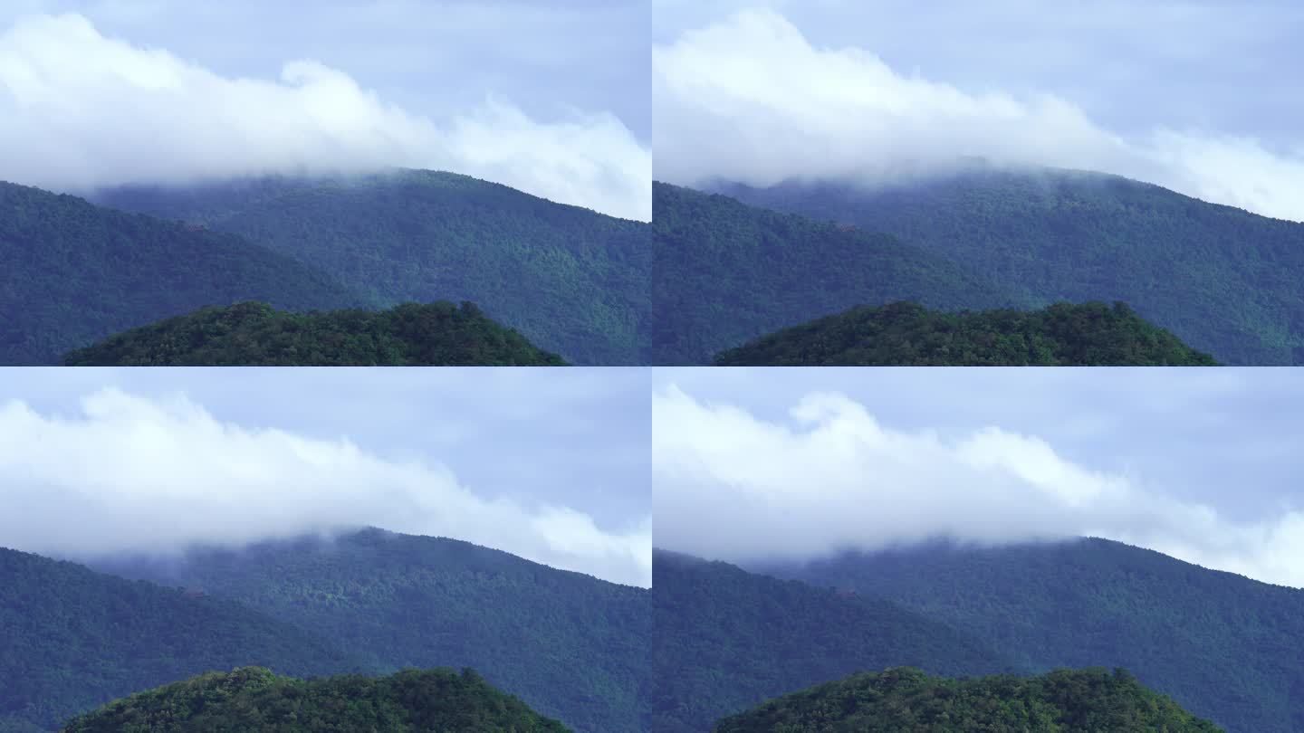 热带雨林山脉云雾缭绕