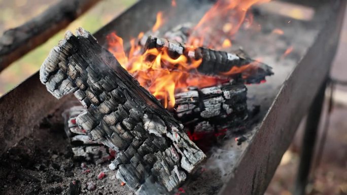 柴火在火盆里燃烧，得到烧肉用的煤
