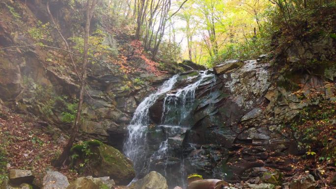 日本秋天的山间瀑布带有温泉蒸汽