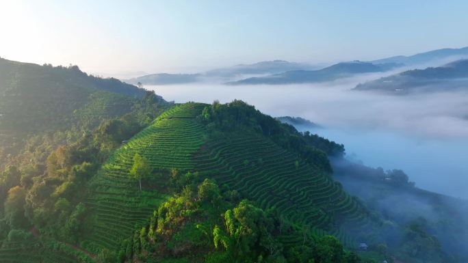 茶山云海航拍