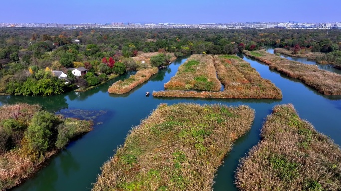 中国杭州西溪湿地秋日美景