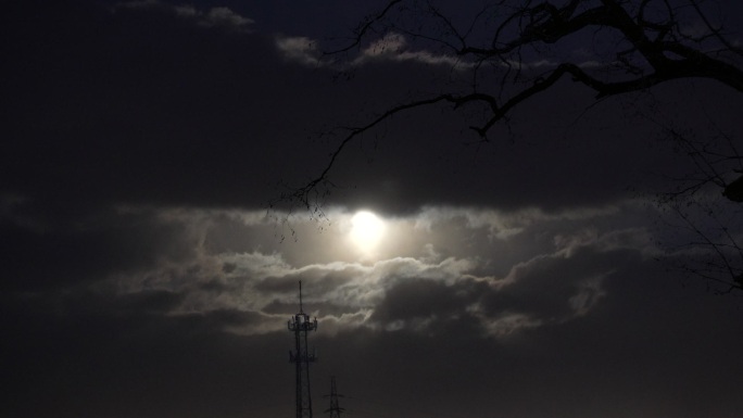 月夜黑夜树影月亮圆月暗夜云遮月