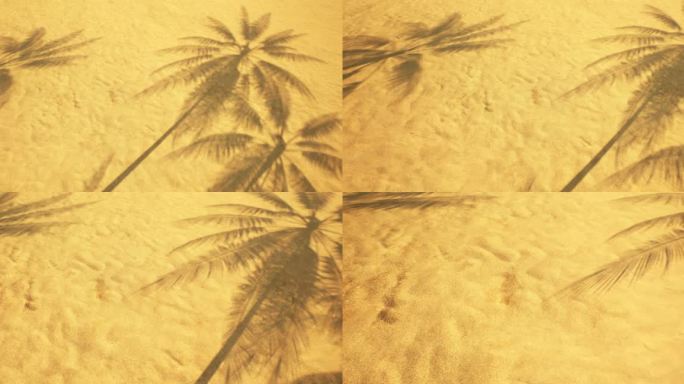 4k椰林树影沙滩风吹沙子③