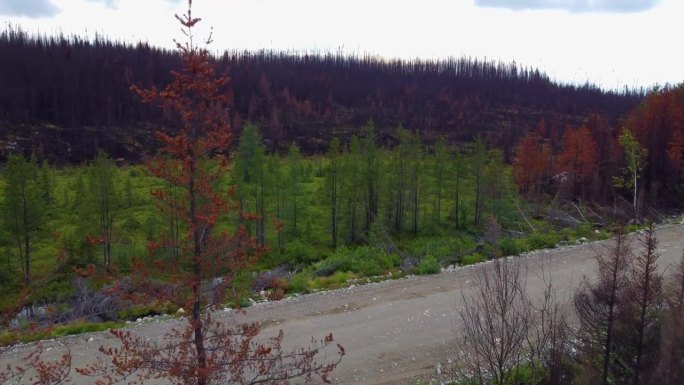 无人机图像显示了魁北克省勒贝勒-苏夸姆维伦大火烧焦的区域