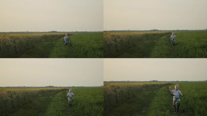 一个可爱的小男孩在夕阳下骑着自行车绕着田野转