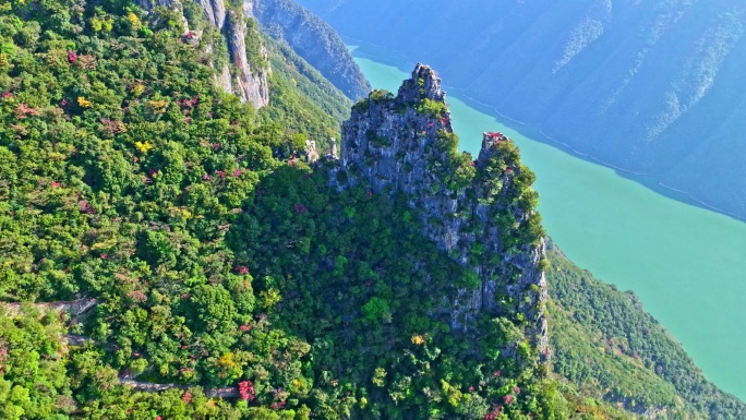 三峡红叶