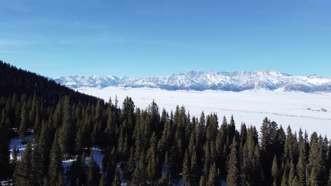 新疆森林雪山风景
