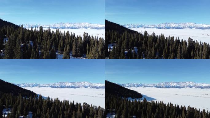 新疆森林雪山风景