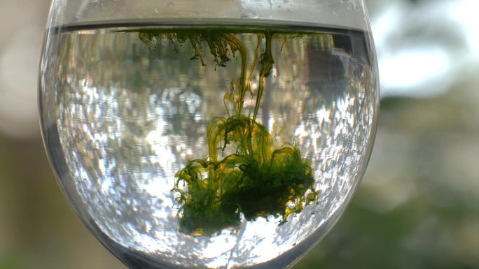 绿色流体形成云在杯子与水与自然背景
