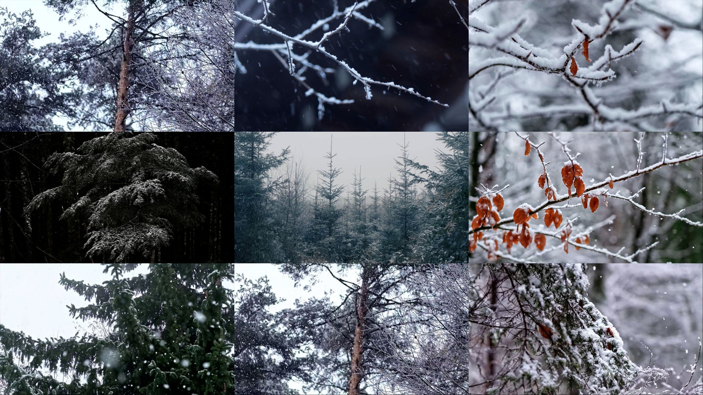 下雪升格雪花飘落慢镜头