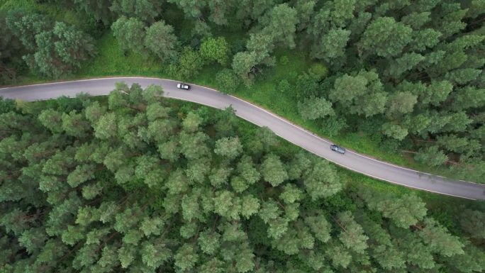 夏日，黑色轿车行驶在柏油路上，穿过广阔的森林。汽车在松林道路上行驶的航拍照片。穿越森林的公路旅行。风