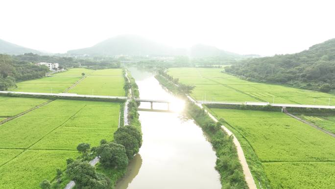 中国广东省广州市从化艾米稻香小镇