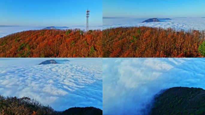 航拍峡江云海红叶