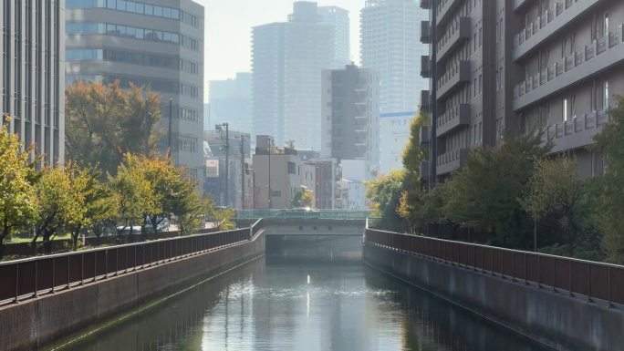 大岛河西，日本东京景观2023