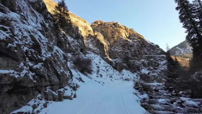 在雪地上的车辙上行进，穿过狭窄的峡谷，在布满云杉林的冬季岩石中穿行