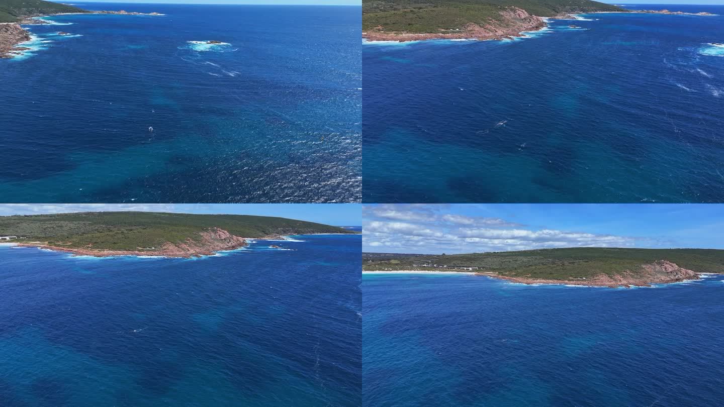 当鲸鱼沿着西澳大利亚的海岸线迁徙时，跟着它们出海
