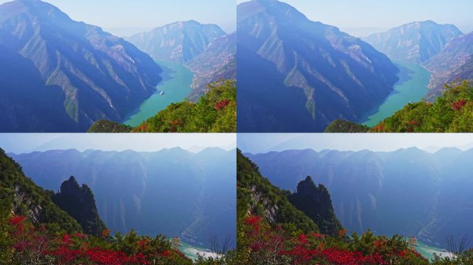 三峡红叶