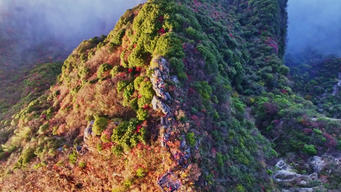 航拍峡江云海红叶