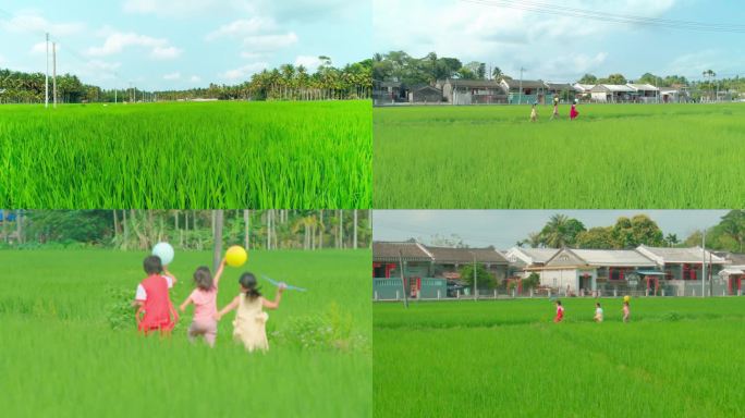 美丽稻田 乡村旅游 奔跑 一望无垠的田野