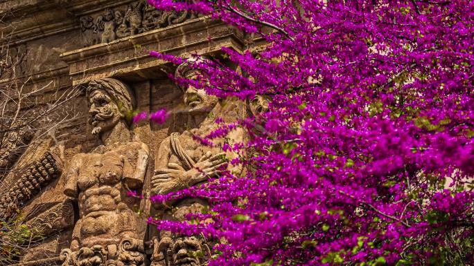 紫色九重葛攀附在有雕像的古建筑正面