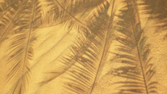 4k椰林树影沙滩风吹沙子⑧