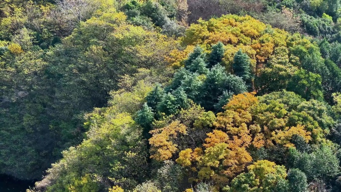 航拍扬州高邮湖风力发电鱼塘平原田野堤防