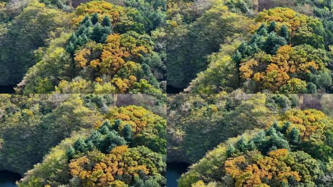 航拍扬州高邮湖风力发电鱼塘平原田野堤防