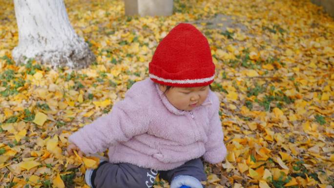 孩子银杏树下玩耍