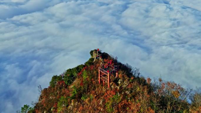 三峡红叶