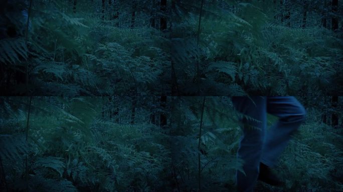 一个人走过黑暗林地里的蕨类植物