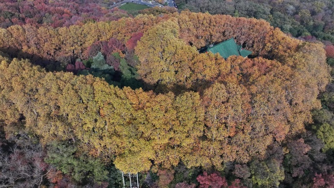 南京美龄宫秋景航拍