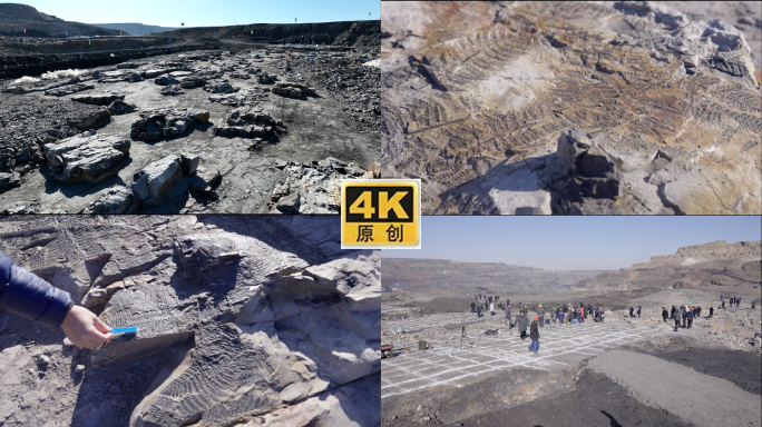 内蒙古考古现场植物化石考古学家4k航拍