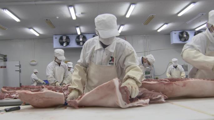 屠宰场肉加工猪肉食品肉制品加工生切割车间