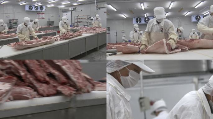 屠宰场肉加工猪肉食品肉制品加工生切割车间