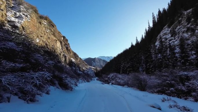 在雪地上的车辙上行进，穿过狭窄的峡谷，在布满云杉林的冬季岩石中穿行