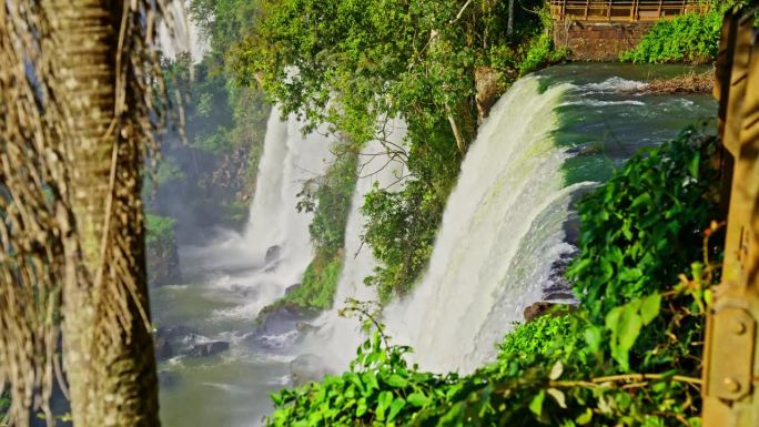 伊瓜苏瀑布与郁郁葱葱的雨林和谐共存