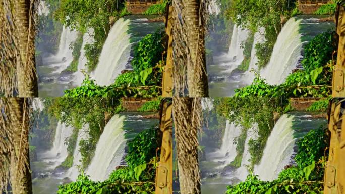 伊瓜苏瀑布与郁郁葱葱的雨林和谐共存